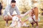 Kurzurlaub mit Hund für 2
